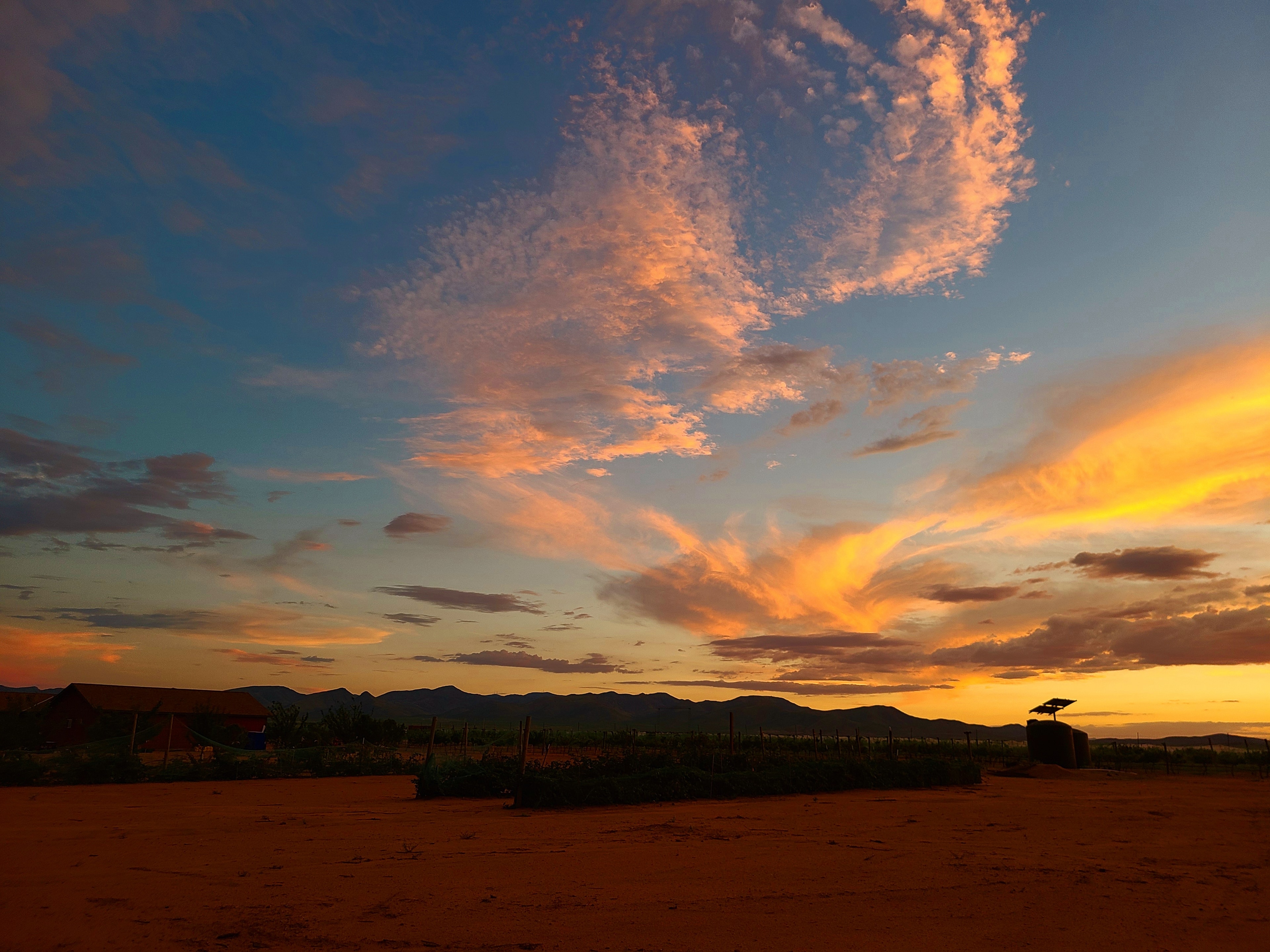 Hofmann Vineyards vineyard sunset